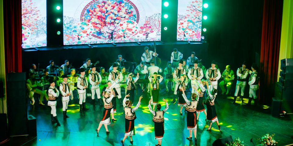 Paul-Padurariu-fotografie-concert-Ana-Maria-Ababei-245